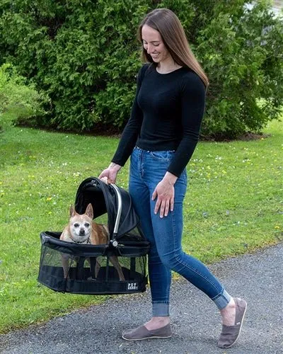 Black View 360 Pet Carrier & Car Seat