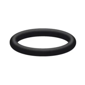 Interpump | O-Ring for Valve | 90.3841.00